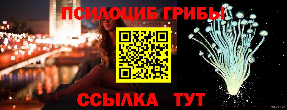 Псилоцибиновые грибы Psilocybine cubensis  Галлюциногенные грибы GOLDEN TEACHER  Кострома  Вход с VPN 